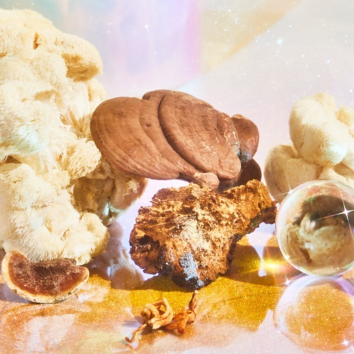 What is an Adaptogen?