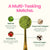 Spoon with Blume Strawberry Matcha Superfood Powder labeled as a multi-tasking matcha product with ingredients listed.